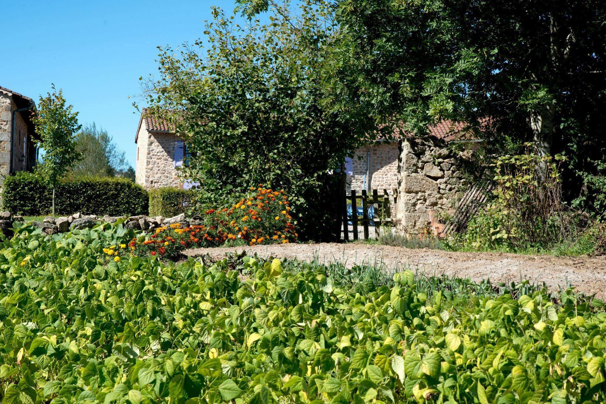 Domaine De La Plagnette Hotell Les Salles Eksteriør bilde